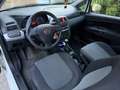 Fiat Punto Classic 1,2 Lifestyle - thumbnail 8