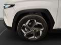 Hyundai TUCSON Tucson III 2021 1.6 phev Exellence 4wd auto Bianco - thumbnail 18