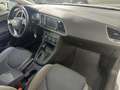 SEAT Leon 2.0 TDI ST 4x4 X-perience 184 CV Alu 18 Bianco - thumbnail 8