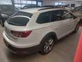 SEAT Leon 2.0 TDI ST 4x4 X-perience 184 CV Alu 18 Bianco - thumbnail 4