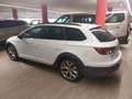 SEAT Leon 2.0 TDI ST 4x4 X-perience 184 CV Alu 18 Bianco - thumbnail 5
