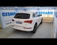 Audi Q5 2.0 tdi Advanced quattro 143cv Weiß - thumbnail 3