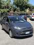 Ford Fiesta 5p 1.2 16v Titanium VETTURA IN PERFETTO STATO - thumbnail 3
