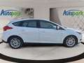 Ford Focus 1.0 ECOBOOST100PS Titanium Weiß - thumbnail 5
