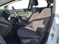 Ford Focus 1.0 ECOBOOST100PS Titanium Weiß - thumbnail 16