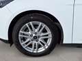 Ford Focus 1.0 ECOBOOST100PS Titanium Weiß - thumbnail 11