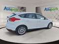 Ford Focus 1.0 ECOBOOST100PS Titanium Weiß - thumbnail 8