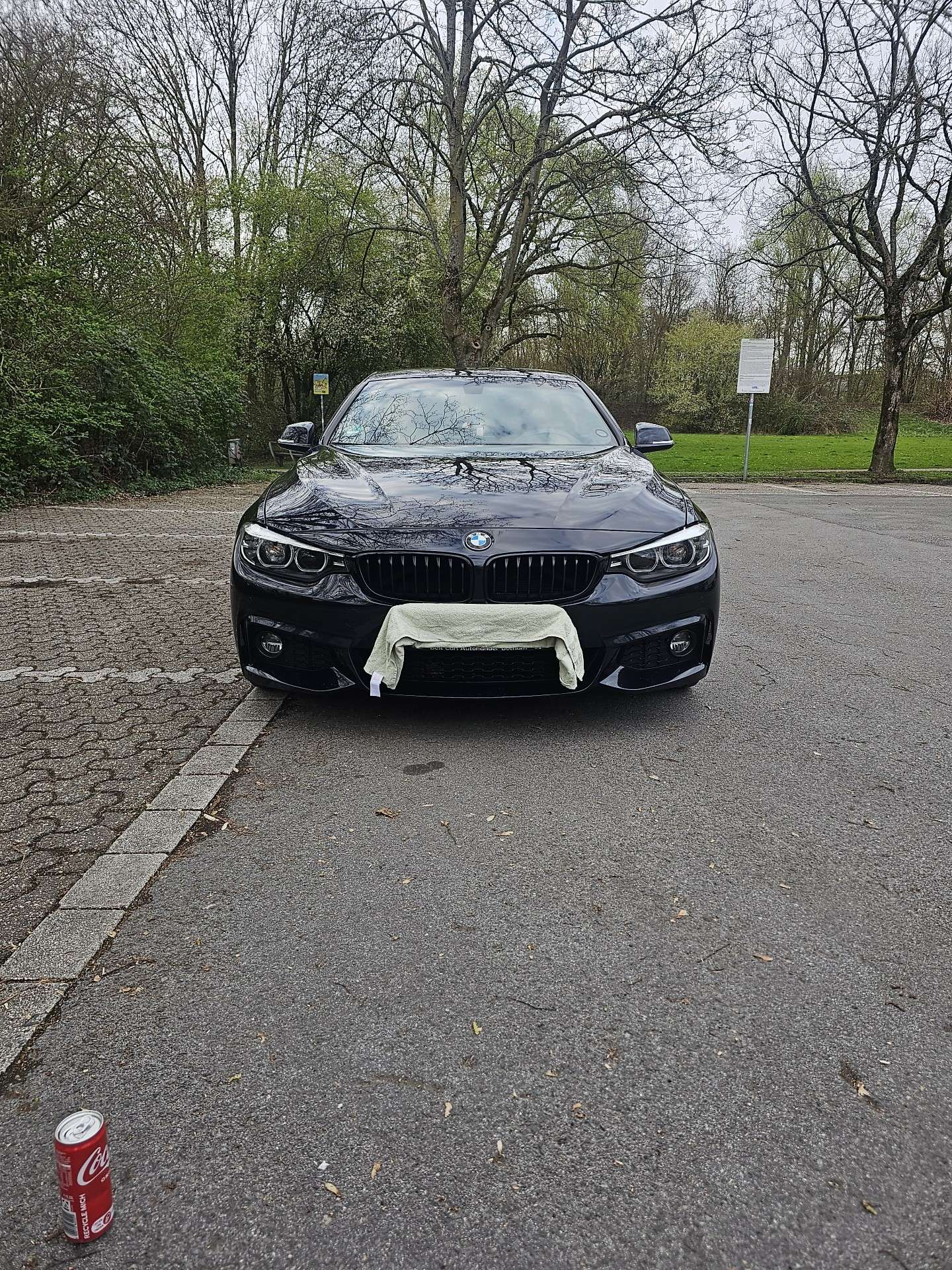 Használt Bmw 4 Series 