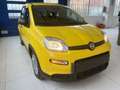 Fiat Panda Panda 1.0 FireFly S&S Hybrid Pop Jaune - thumbnail 1