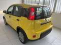 Fiat Panda Panda 1.0 FireFly S&S Hybrid Pop Jaune - thumbnail 2