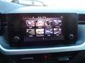 Skoda Kamiq Drive 125 1.6, 85kW, DSG-KLIMATR-SHZ-PDC Grün - thumbnail 12