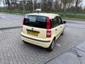 Fiat Panda 1.2 Celebration ((( apk tot mei 2026 )))) Jaune - thumbnail 10