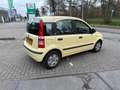 Fiat Panda 1.2 Celebration ((( apk tot mei 2026 )))) Jaune - thumbnail 4