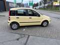 Fiat Panda 1.2 Celebration ((( apk tot mei 2026 )))) Jaune - thumbnail 1
