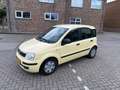 Fiat Panda 1.2 Celebration ((( apk tot mei 2026 )))) Jaune - thumbnail 11
