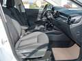 Skoda Fabia 1.0 TSI Selection PDC SHZ NAVI LED Weiß - thumbnail 2