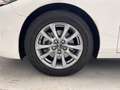 Mazda 3 2.5L e-SKYACTIV G MHEV 103kW (140CV) 6MT FWD Prime Blanco - thumbnail 9