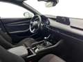 Mazda 3 2.5L e-SKYACTIV G MHEV 103kW (140CV) 6MT FWD Prime Blanco - thumbnail 13