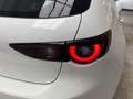 Mazda 3 2.5L e-SKYACTIV G MHEV 103kW (140CV) 6MT FWD Prime Blanco - thumbnail 23