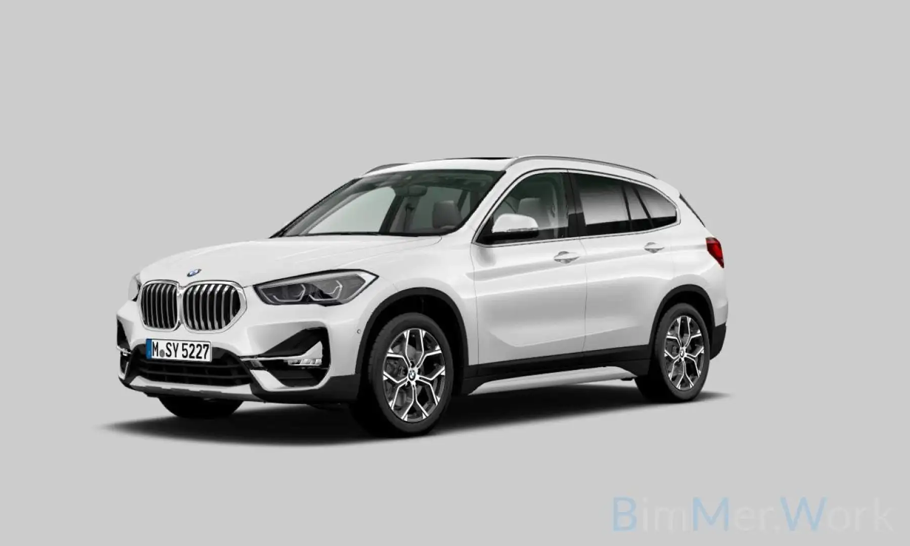 BMW X1 xLine DAB Kamera Panorama Leder Sport Weiß - 1
