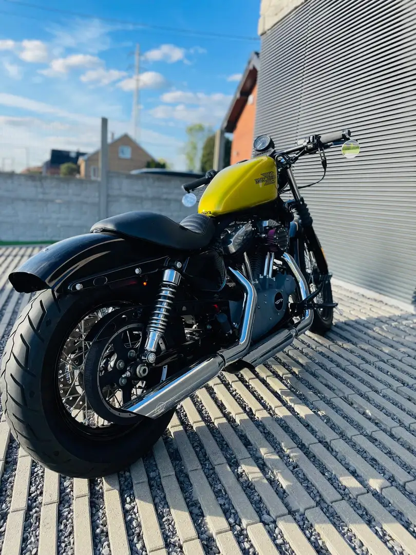 Harley-Davidson XL 1200 sportster Gold - 2
