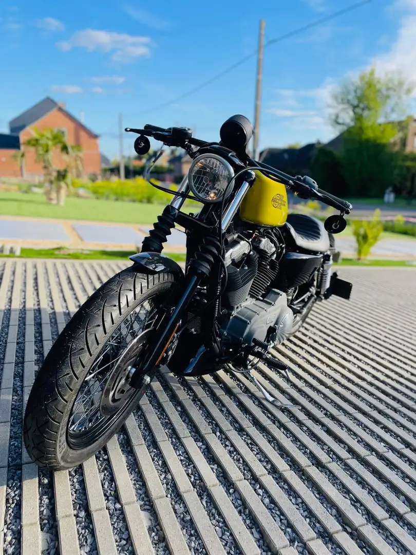 Harley-Davidson XL 1200 sportster Zlatna - 1