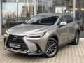 Lexus NX 350h Executive Line*inkl. WR*360° Kamera* Argent - thumbnail 2