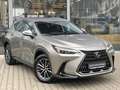 Lexus NX 350h Executive Line*inkl. WR*360° Kamera* Silber - thumbnail 3