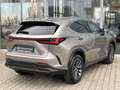 Lexus NX 350h Executive Line*inkl. WR*360° Kamera* Argent - thumbnail 5