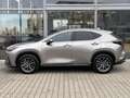Lexus NX 350h Executive Line*inkl. WR*360° Kamera* Silber - thumbnail 7