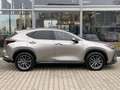 Lexus NX 350h Executive Line*inkl. WR*360° Kamera* Argent - thumbnail 4