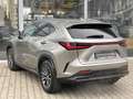 Lexus NX 350h Executive Line*inkl. WR*360° Kamera* Argent - thumbnail 6