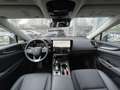 Lexus NX 350h Executive Line*inkl. WR*360° Kamera* Argent - thumbnail 10