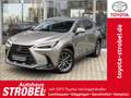 Lexus NX 350h Executive Line*inkl. WR*360° Kamera* Argent - thumbnail 1