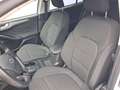 Ford Focus Active SW 1.5 ecoblue co-pilot s&s 120cv auto Blanc - thumbnail 20
