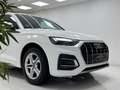 Audi Q5 35 TDI Advanced S tronic Blanco - thumbnail 8