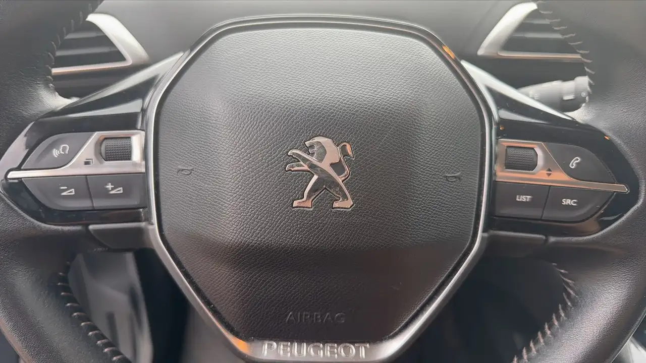 Peugeot 3008 3008 — photo 22