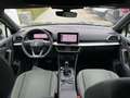 SEAT Tarraco Xperience 1.5 TSI ACT 7-Gang DSG 110 kW Зелений - thumbnail 8