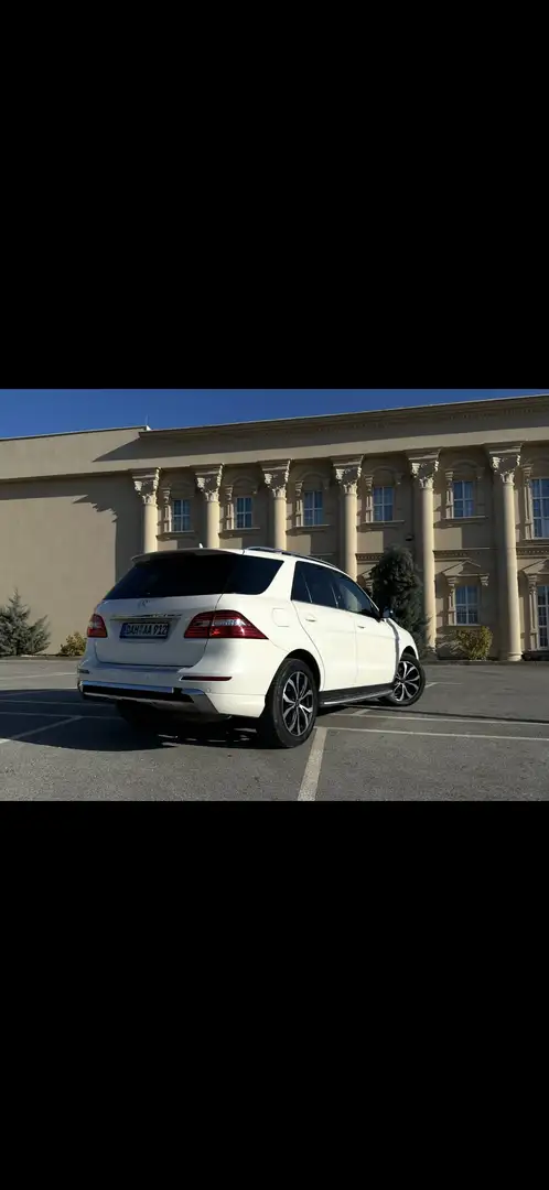 Mercedes-Benz ML 350 BlueTEC 4MATIC 7G-TRONIC panorama Weiß - 1