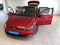Volkswagen Golf VIII 1.0 eTSI DSG Active Bluetooth Navi LED Weiß - thumbnail 14
