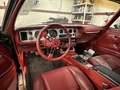 Pontiac Trans-Am Coupe "Bandit" Siyah - thumbnail 6