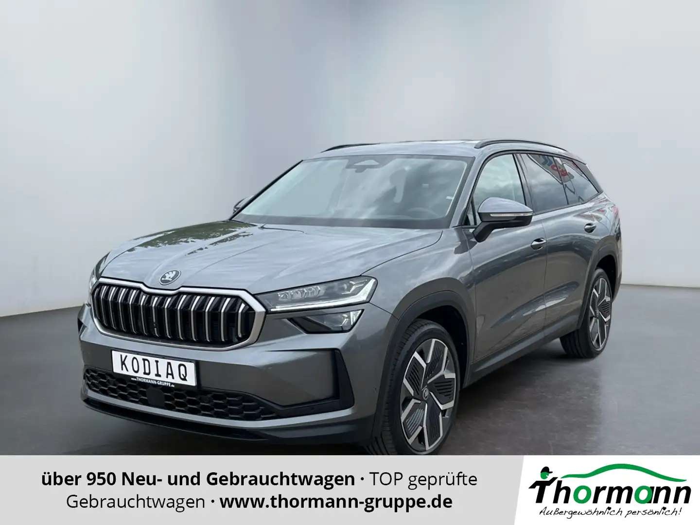 Skoda Kodiaq Selection 2.0 TDI ACC HUD 360 STH Grau - 1
