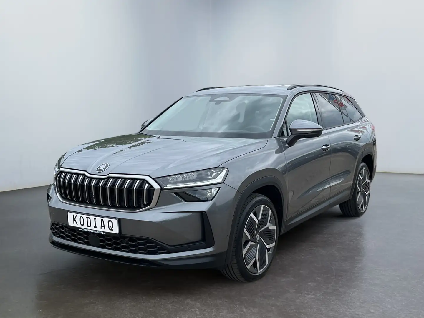 Skoda Kodiaq Selection 2.0 TDI ACC HUD 360 STH Grau - 2