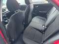 Kia Rio 1.2 Edition 7 SH LH Rot - thumbnail 12