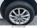 SEAT Ibiza 1.2 TSI Style/ Nur 47000 km/ TÜV Neue Weiß - thumbnail 22