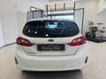 Ford Fiesta Fiesta 5p 1.1 Titanium 85cv my19.5 Bianco - thumbnail 6