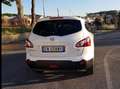 Nissan Qashqai+2 nissan Qashqai+2 1.5 dci 360 Bianco - thumbnail 3