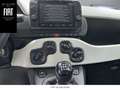 Fiat Panda Berlina Manual de 5 Puertas Blanco - thumbnail 14