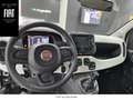 Fiat Panda Berlina Manual de 5 Puertas Blanco - thumbnail 8