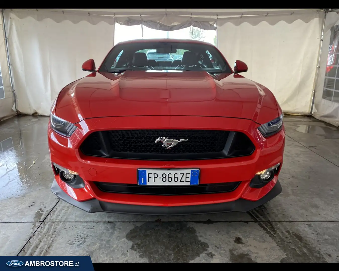 Ford Mustang VI 2015 Fastback - Mustang Fastback 5.0 ti-vct V8 Czerwony - 2